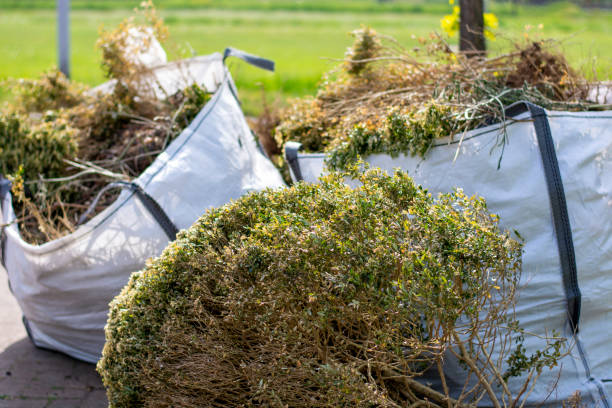 Best Dumpster Rental Services  in Baldwyn, MS
